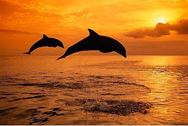 《文明7》Switch 2版支持滑鼠操作 性能堪比中端PC