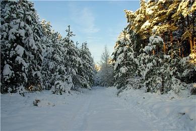 《碧蓝幻想Versus》EVO赛事周免费开放全部基础角色